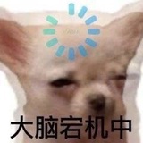 qqcqb