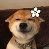 莱卡萌多