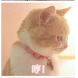 注销账号