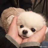 ban了