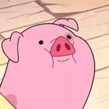 一只猪
