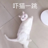 咕咕鸡仔饼