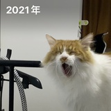 废石