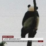 卡卡