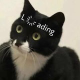 Lee象象(￣^￣)