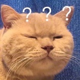 鹏鹏