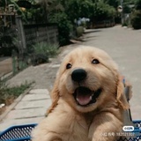 An
