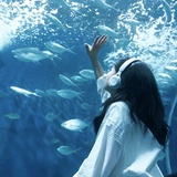 Melody
