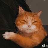 画虎成犬
