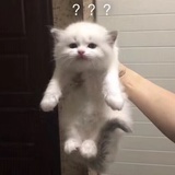 暗涌
