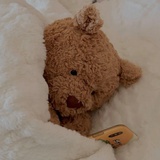 被窝小熊手机