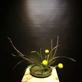 蘭禅花道