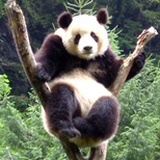 嗨，兄弟