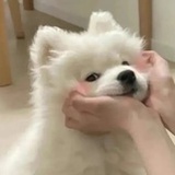 那你报警吧