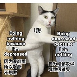 岑夫子