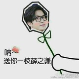 芦荟