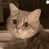 dou