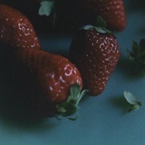 鸢