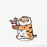 错拼的时光