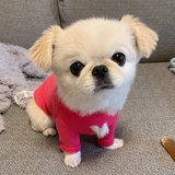 Keke
