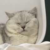 紫薯臭臭人