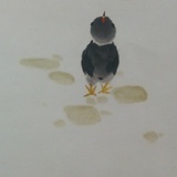 足矣