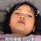 豆宝宝