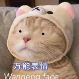 易志