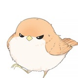 既见以安