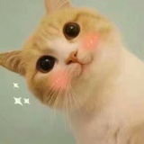 酥柔