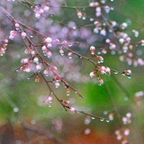 文