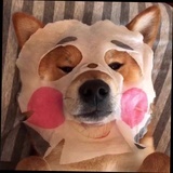 想吃脆脆鲨