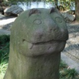 Angus Li