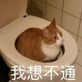 四次元的纪喜宝