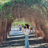就这样吧