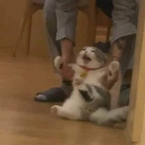 豆友149008156