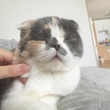 龙妹