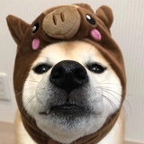 你的小太阳。