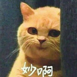 Albert