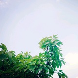就是孔韦谕