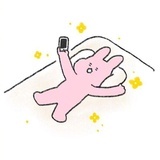 哈莉特小姐