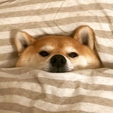 咖咖咖咖咖啡