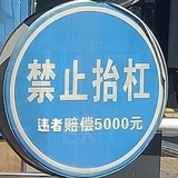 Molly噜噜