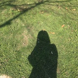 豆瓣不是酱