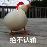 绝不认输