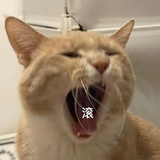 大家好我是狗蛋