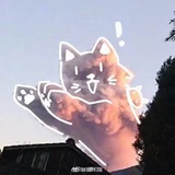 炒鸡