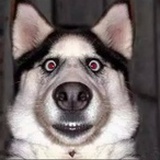 老韩