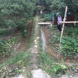 豆知道瓣