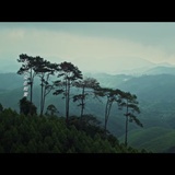 找阳光的凌儿～